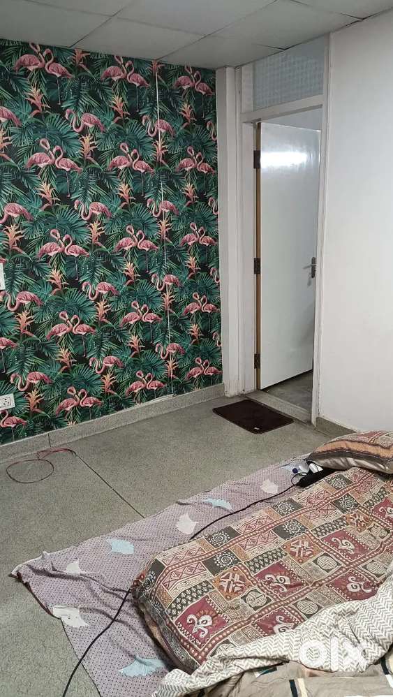 Looking for bachelor roomate