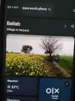 18acre agriculture land in rohtak
