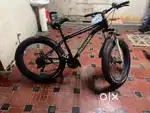Fire Catcher FAT TYRE 21 speed gear