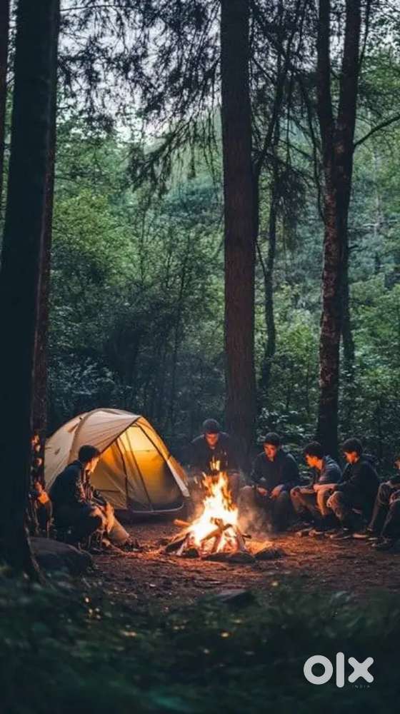 Guest Experience & Property Manager