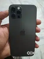 New candisan