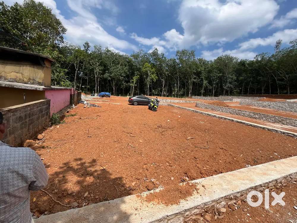 Plot sale between mangalapuram and pothencode road