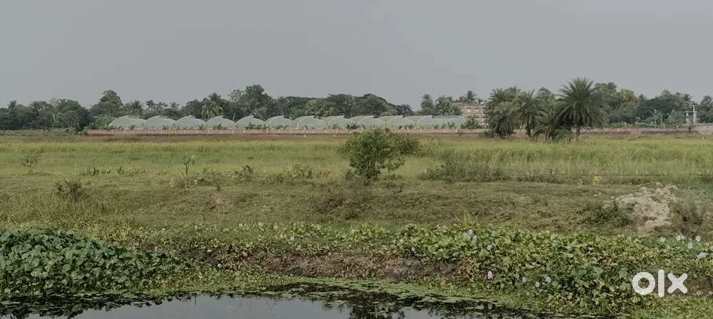 Ruby to kheyadaho school 2km to plot mutation update total land 70kata