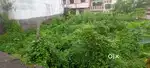 Plot Size  2800 sq.ft