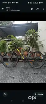Raleigh Sports Cycle