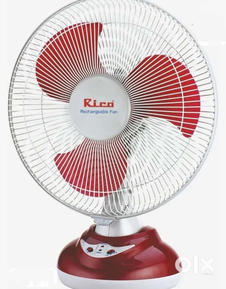 Battery Fan (Rico )
