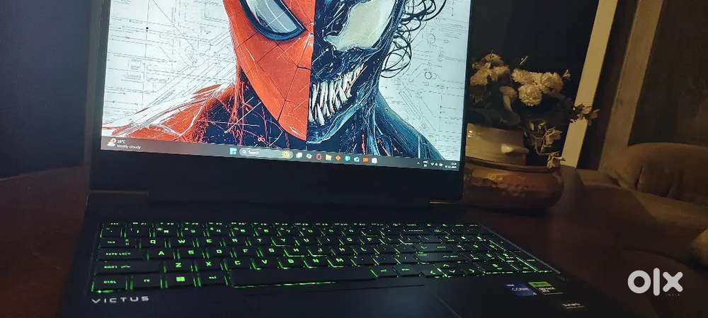 Hp victus Gaming Laptop