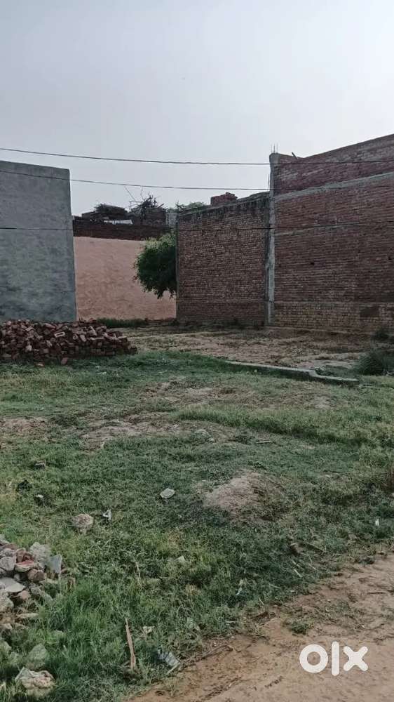 Indra colony best location residence pilot reasonable price sale