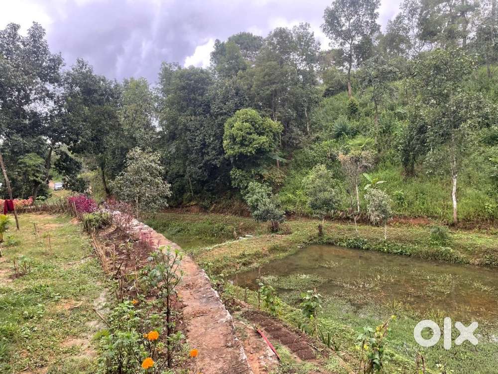 Jaka ban die ha Umran Parila 3acre.