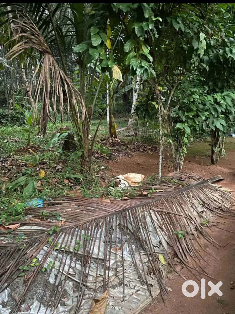 5 cent plot for sale Nanminda iyyad rod