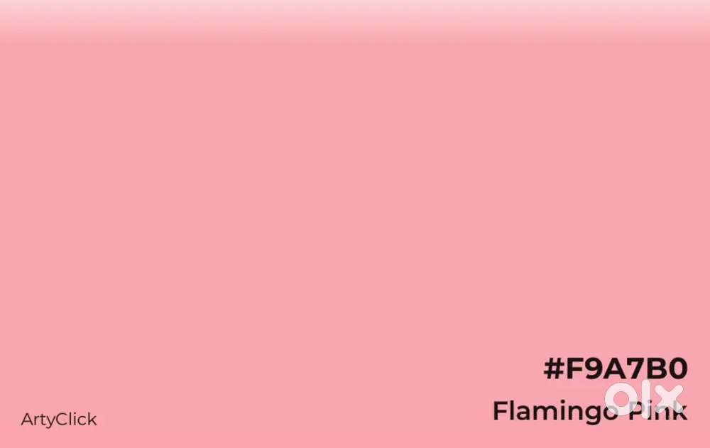 Online & Offline Tution Available For School students & Law students