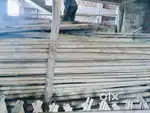 Suttering bamboo