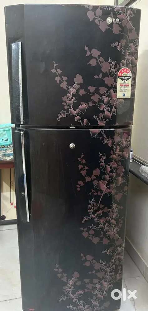 Two door fridge