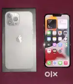 Apple iPhone 13 Promax