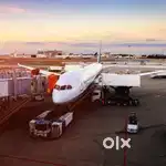 Accountant job in Cargo Warehouse On IGI Airport for Experienced