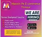 Business development executive