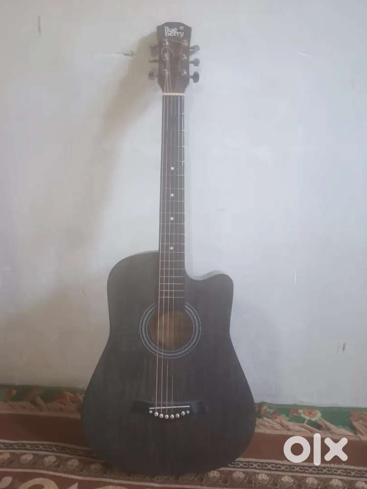 Blue berry guitar