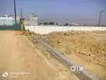PLOT FOR SALE DADARI NAGAR PALIKA GREATER NOIDA