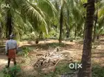 12 AECAR LAND SALE MAIN ROAD T NARSIPURA TO NANJANNAGUDU ROAD SALE