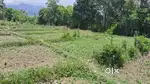 Resorts land and plots