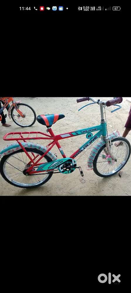 16 inch caycle