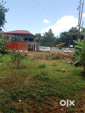 Running Car Wash with 17 cent Plot near Mylady Petrol Pump