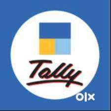 DATA ENTRY CUM ACCOUNTANT (TALLY PRIME)
