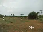 14 Lakhs Plots for Sale in Old Bathalagundu to Viralipatti Main Road