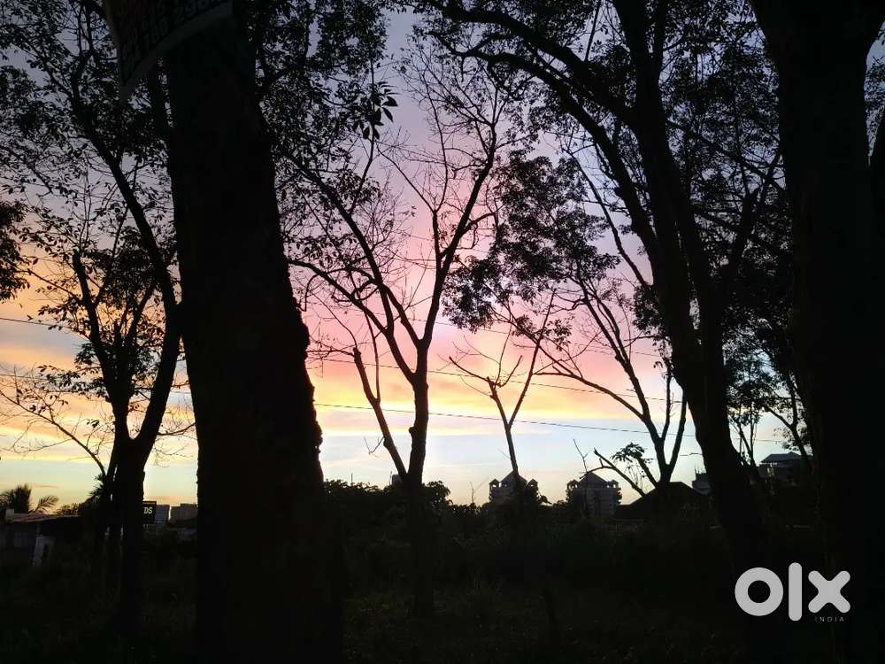 Ladies PG Available Near Infopark Phase 1