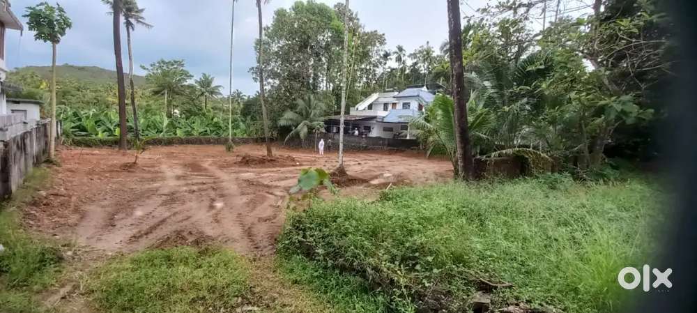 20 cent plot for sale in Ponjassery, Perumbavoor