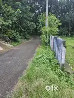 10 cent plot for sale