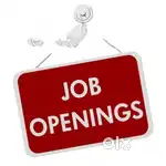 In-store sales Executive