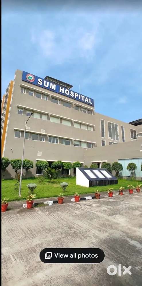 Near sum hospital & parala maharaja college