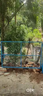 Plot available for lease or sale.