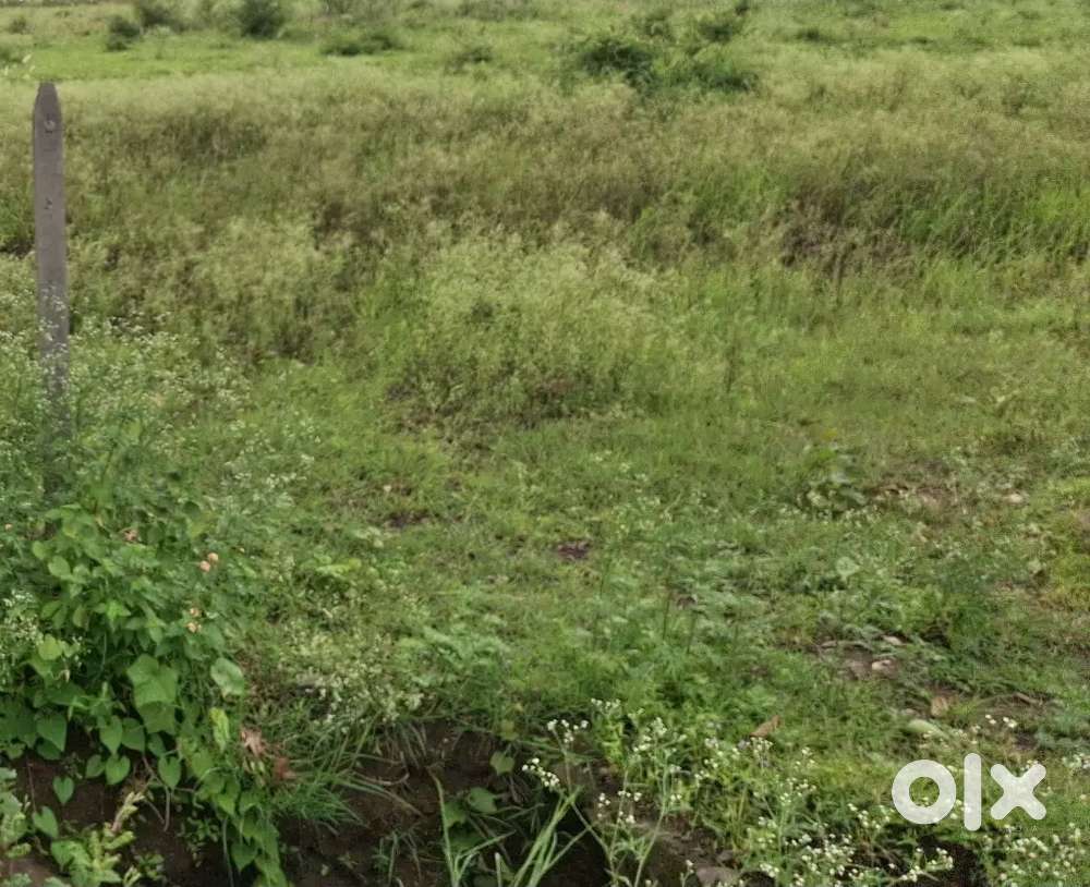 Farm land Neelbadh bhouri bypass