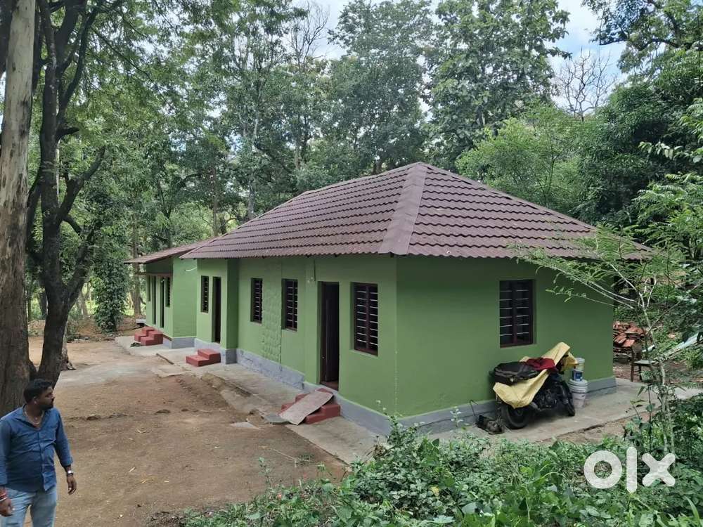 Looking for a full-time caretaker for my Mom