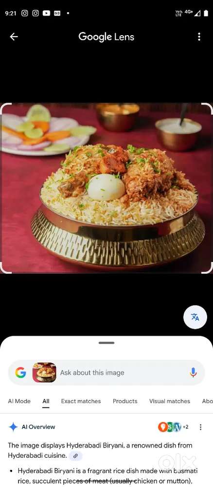 I am chef iwant job urgent