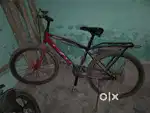 Loto Cycle 1 Year Old Model