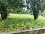 NA plot ponda