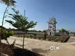 Residential open plants sale kuda approval
