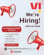 Customer relationship executive