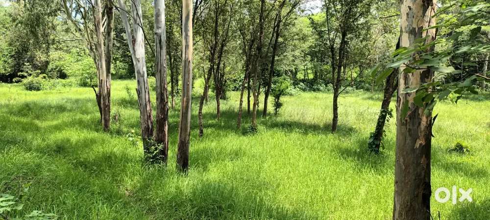 Beautiful Lands for commercial and residential purpose