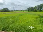 Your dream property in just minimum rate