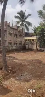 Open plot PB road behind