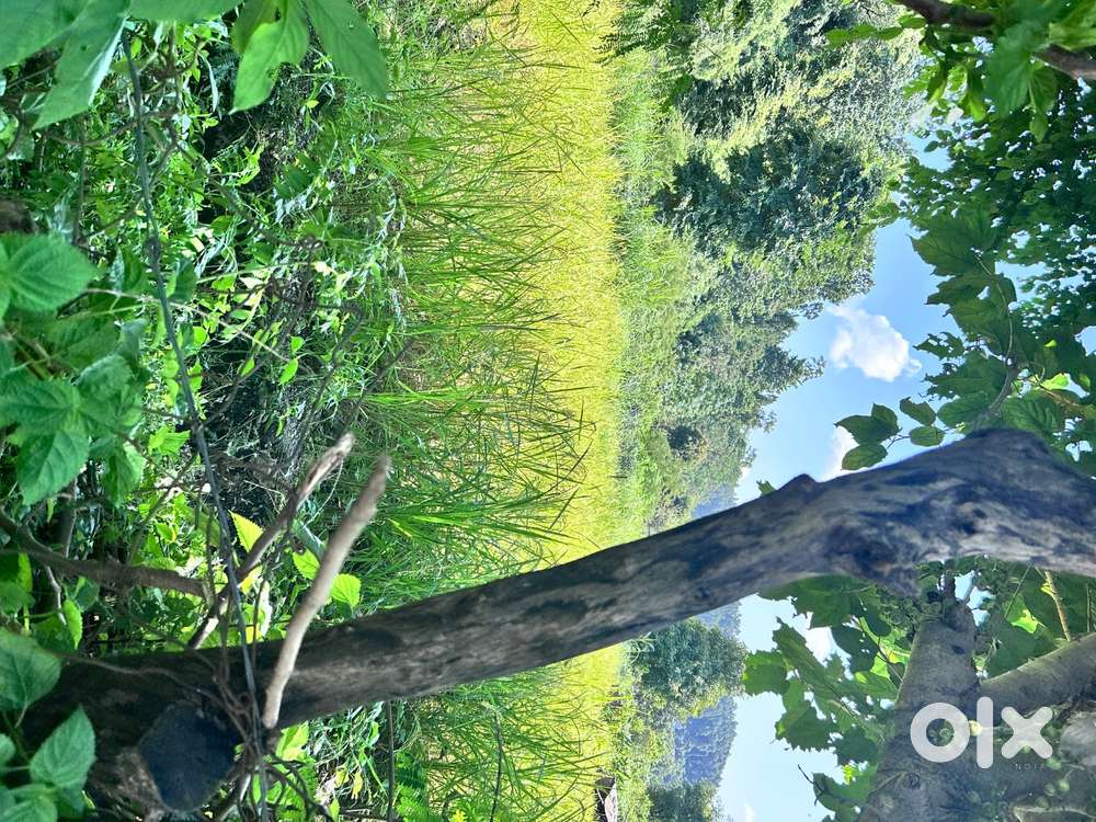 Plot for sale near Bhopal pani, soda saroli