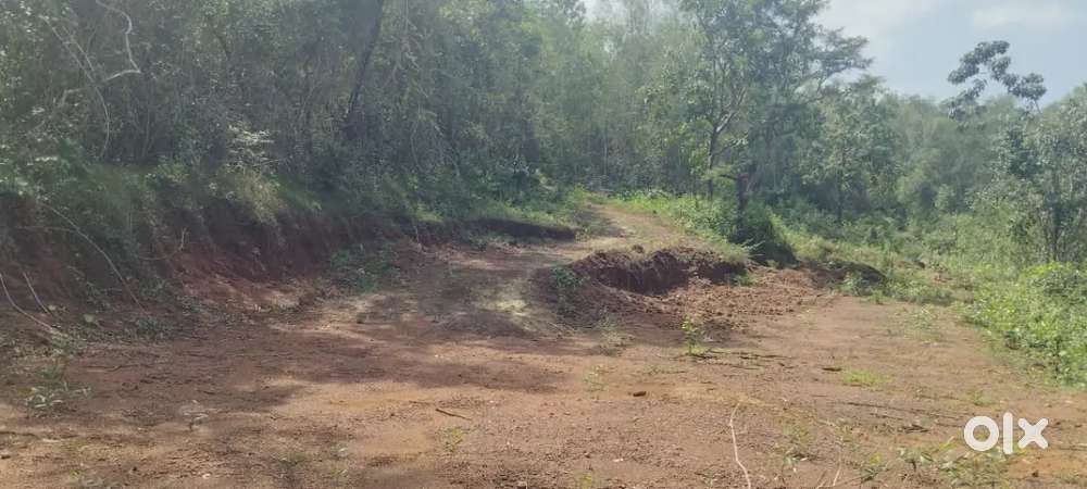 Farmland 3 km from madangiri circle, NH 66 ,hillur road