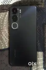 Vivo y300 8 256