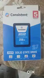 Consistent Ssd 256gb