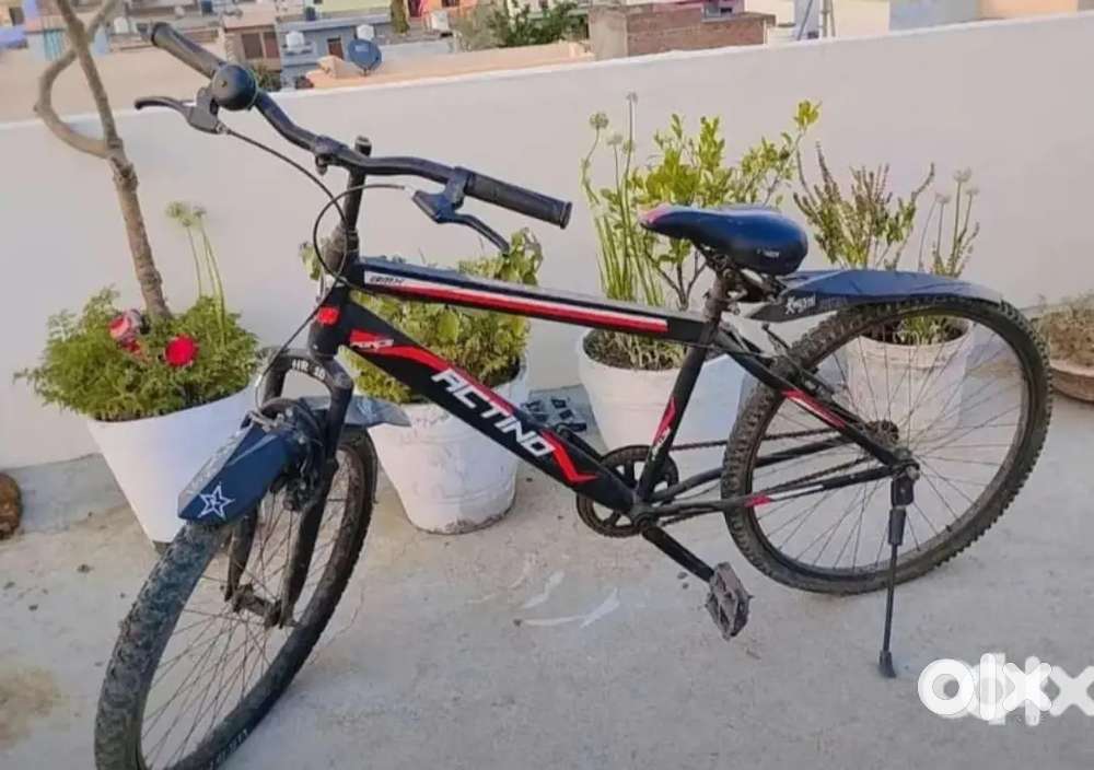 Actino cycle