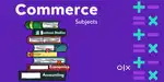 Commerce, accounts and economics lecturer